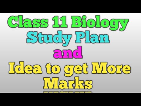 11th Biology Important questions | Study Plan for Biology and easy way to get high marks in biology
