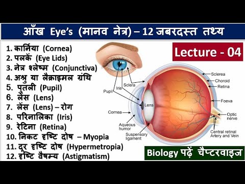 4.Eye Basic Structure in Hindi, Biology in Hindi by Nitin Sir Study91, Eye Related Question Answer