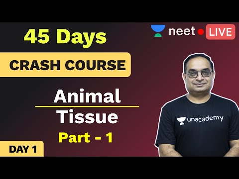45 Days Crash Course in Biology | Day 1 | Animal Tissue | Part 1 | Unacademy NEET | Sachin Sir
