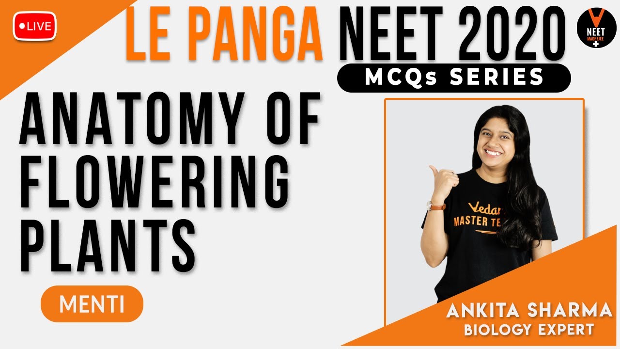 Anatomy of Flowering Plants Class 11 | NEET MCQs Series | NEET Biology | NEET 2020 | Ankita Sharma