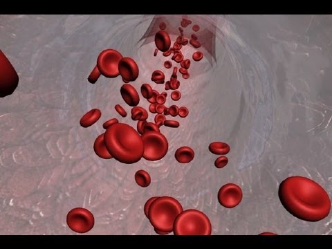 Animated Introduction to Cancer Biology (Full Documentary)