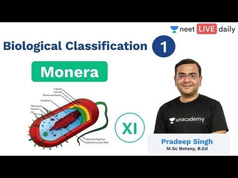 Biological Classification - L 1 | Monera | Unacademy NEET | LIVE DAILY | Biology | Pradeep Sir