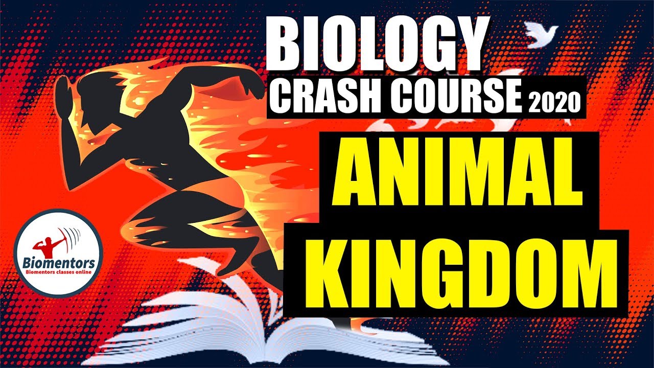 #Biomentors #Biology #Crash_Course | NEET 2020 | Animal Kingdom I Crash Lecture - 5 I Brief revision