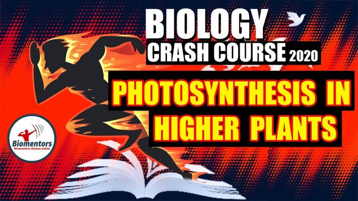 #Biomentors #Biology #Crash_Course | NEET 2020 | Photosynthesis In Higher Plants I Crash Lecture - 9