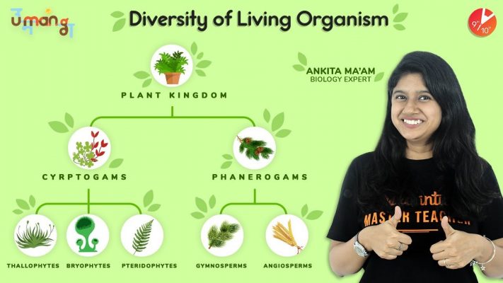 Diversity in Living Organisms L2 | Vedantu Class 9 Biology | NCERT Science Chapter 7 | Plant Kingdom