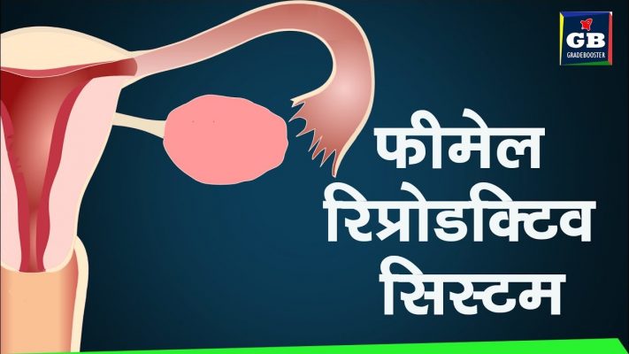 #Female reproductive system in hindi reproduction 10th Biology|CBSE syllabus |NCERT class 10 Science