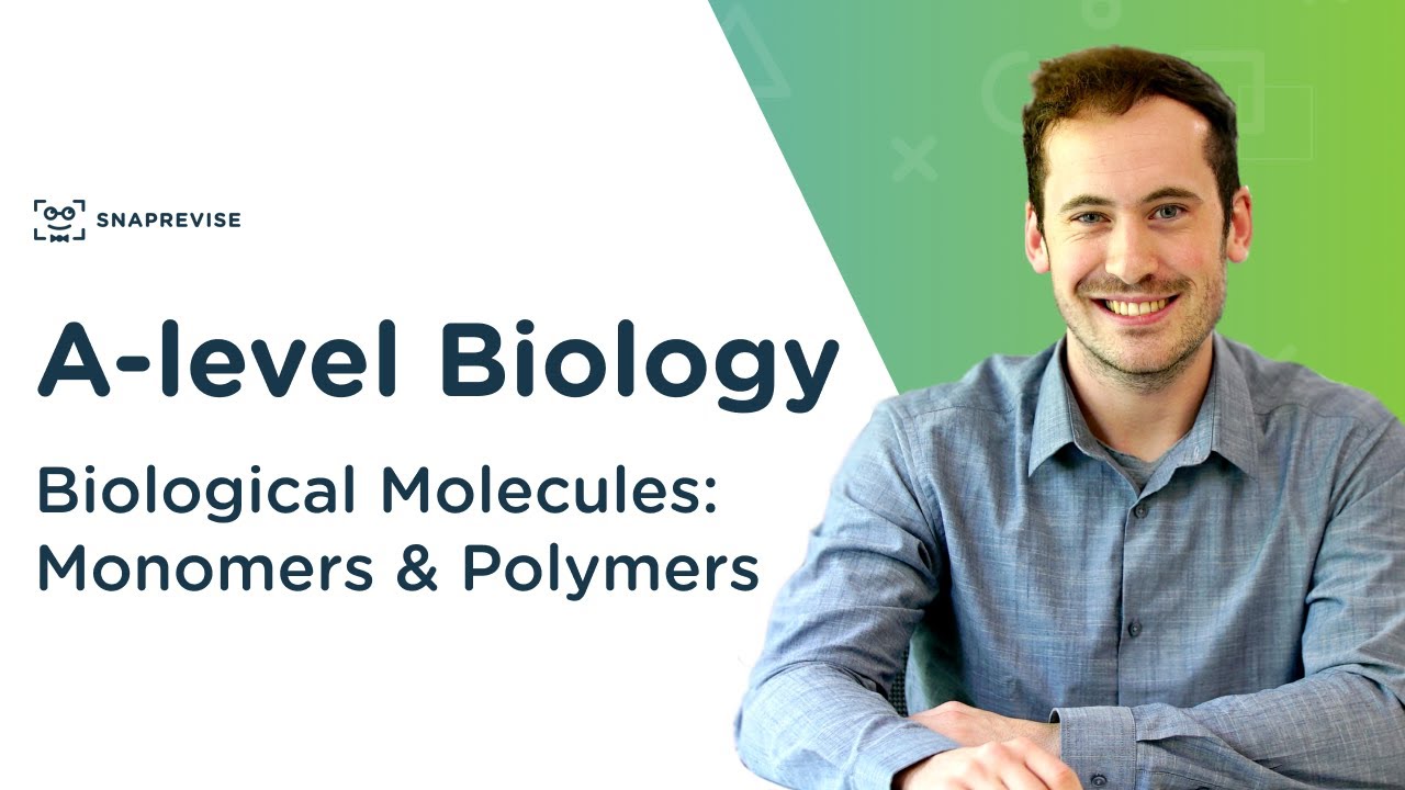 Introduction to Biological Molecules: Monomers & Polymers | A-level Biology | OCR, AQA, Edexcel