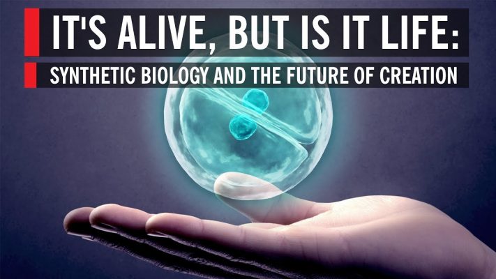 It's Alive, But Is It Life: Synthetic Biology and the Future of Creation