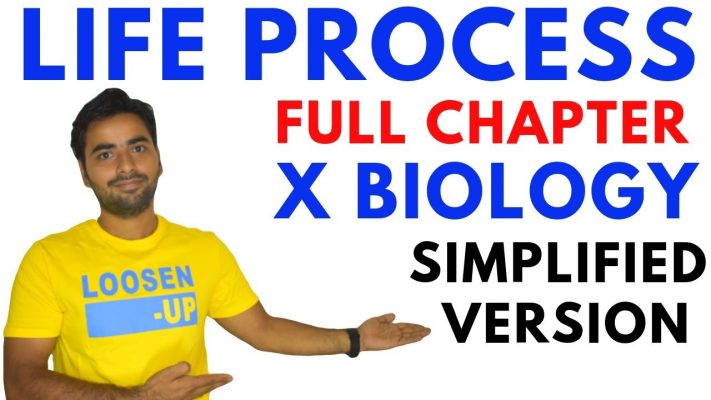 LIFE PROCESS (FULL CHAPTER) | CLASS 10 CBSE BIOLOGY