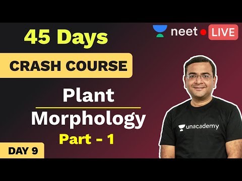 NEET 2020: 45 Days Crash Course in Biology | Day 9 | Plant Morphology | Unacademy NEET | Pradeep Sir