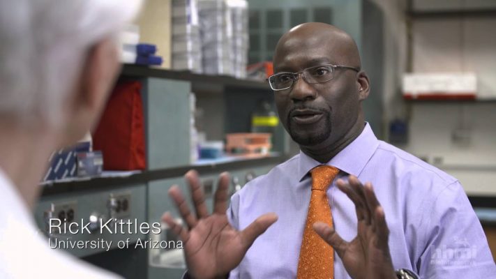 The Biology of Skin Color — HHMI BioInteractive Video