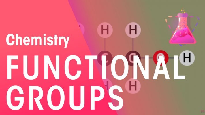 The Functional Group Concept Explained | Organic Chemistry | Chemistry | FuseSchool