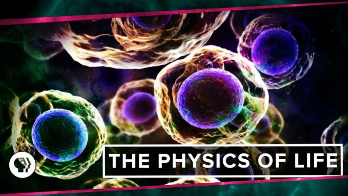 The Physics of Life (ft. It's Okay to be Smart & PBS Eons!) | Space Time