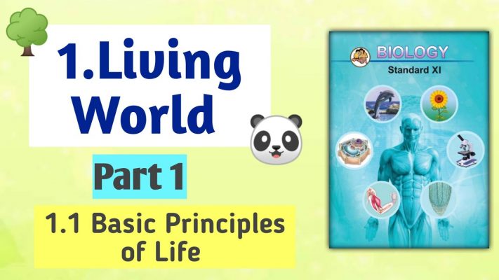 11th std Biology Living World Lesson 1 Part 1 Living World 11th Class Biology