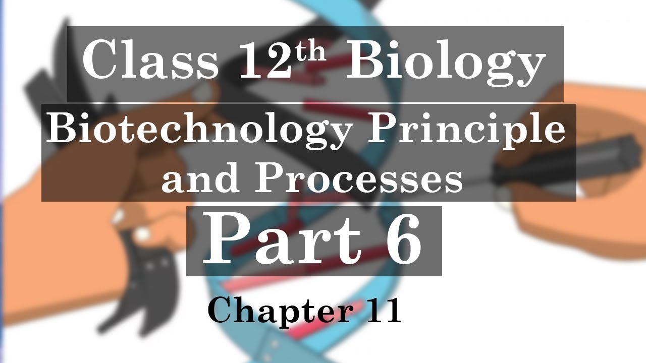 12th Class Biology - Chapter 11| Biotechnology Principles and Processes (Part 6)