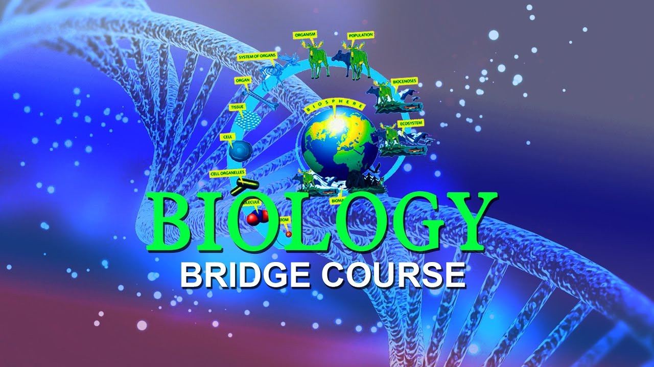 Bridge course for students after 10th Biology chapter 1 Living world