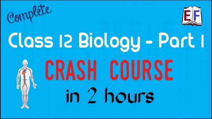 Class 12 Biology #1 |  Revision in 2 hrs | CBSE