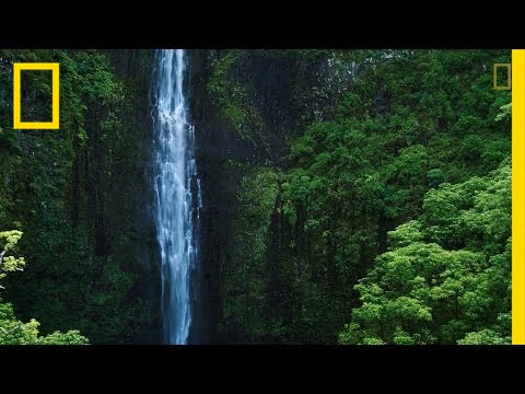 Earth is Our Home—Let's Protect It | National Geographic