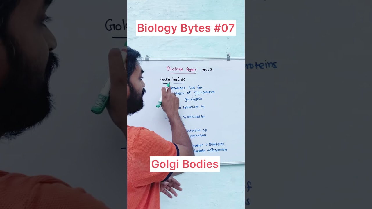 Golgi Bodies | Biology Bytes #07 | NEET Study Tips