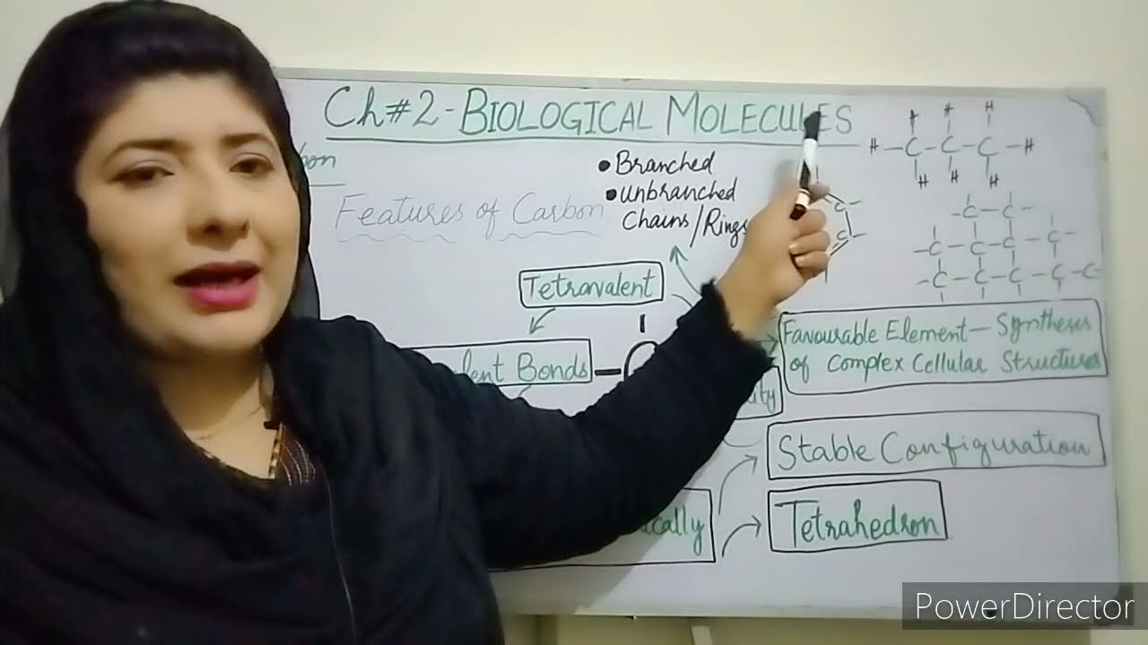 Importance of Carbon 11 Class Biology Chapter 2 Biological Molecules   - 1st Year Biology Chapter 2