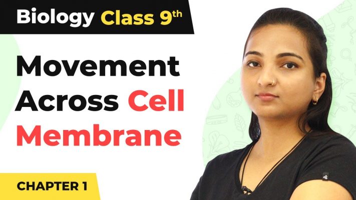 Movement Across Cell Membrane - The Fundamental Unit of Life | Class 9 Biology