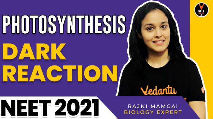 Photosynthesis Class 11 | Dark reaction | NEET Biology | NEET 2021 Preparation | Rajni Ma'am