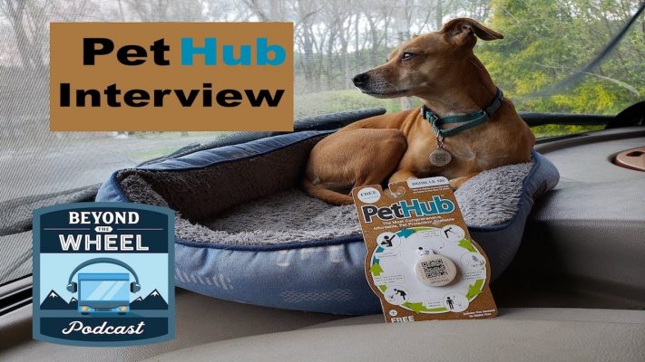 Get to know PetHub and How Their Services Can Help find Lost Pets, Interview with COO Lorien Clemens