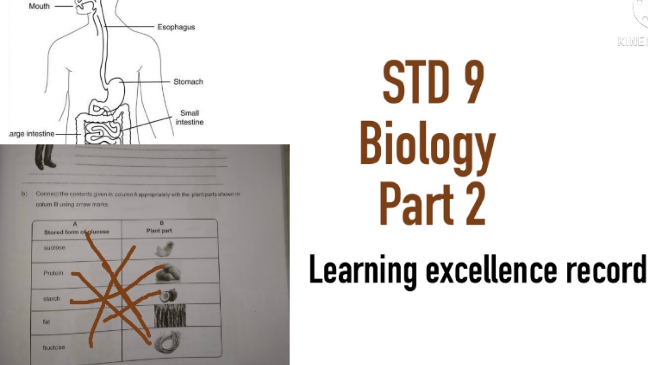 STD 9|BIOLOGY|PART 2|ACTIVITY CARD |LEARNING EXCELLENCE RECORD