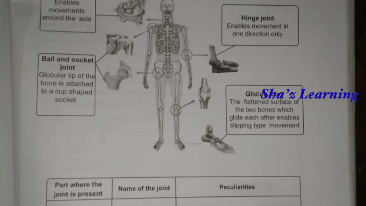 STD 9|BIOLOGY|PART 5|ACTIVITY CARD |LEARNING EXCELLENCE RECORD |