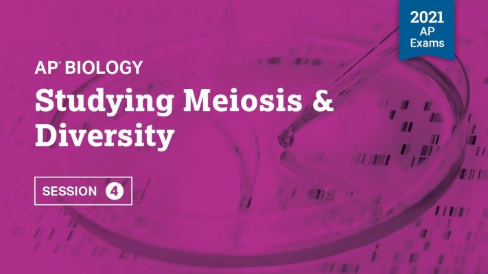 Studying Meiosis & Diversity | Live Review Session 4 | AP Biology