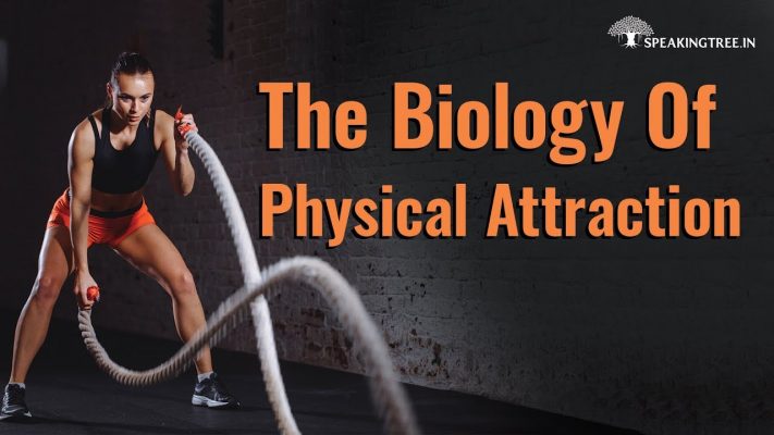 The Biology Of Physical Attraction